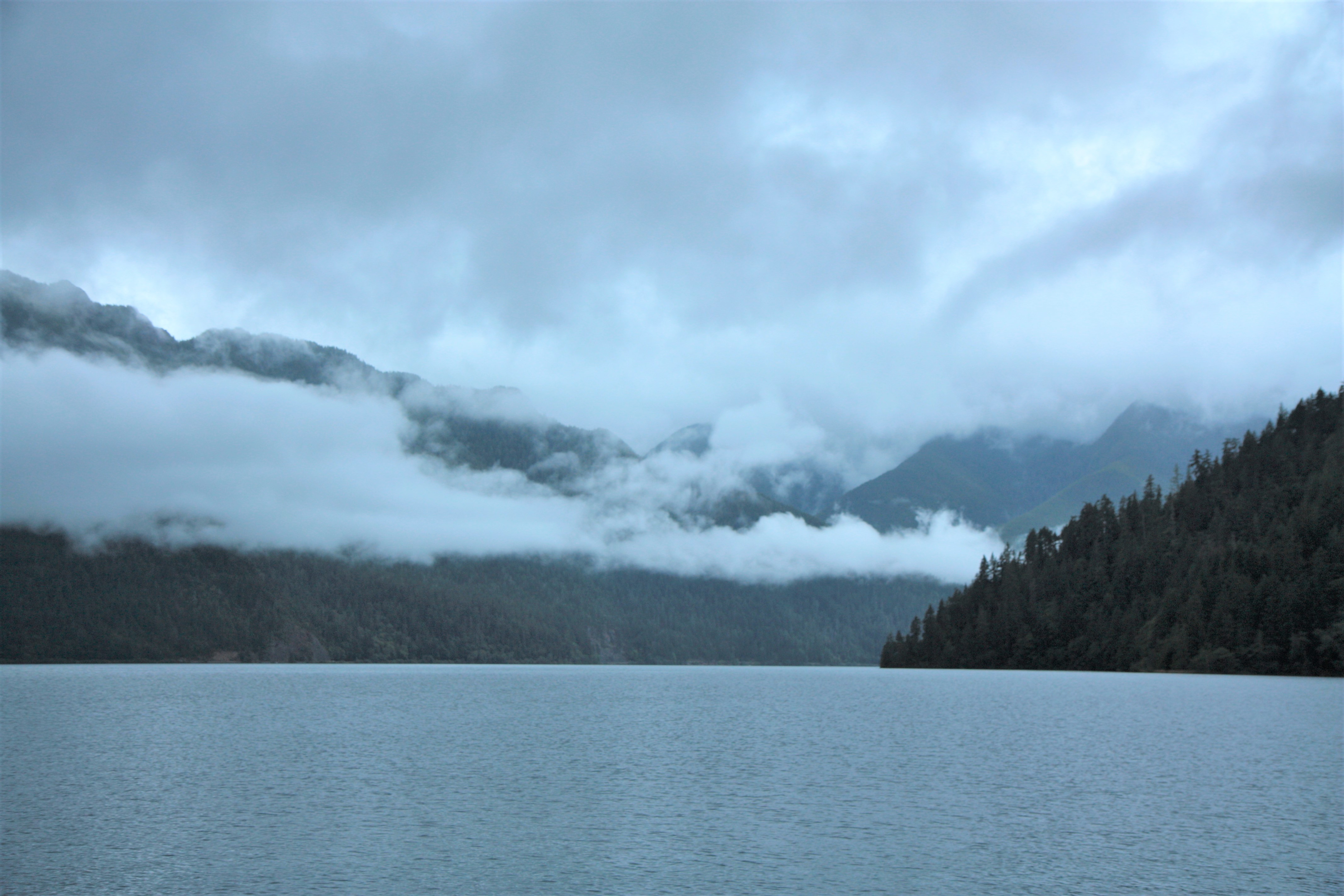 Olympic NP